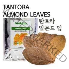 탄도라 알몬드잎 XL 10장, 1개