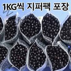 [입점기념 ] 특품 줄기제거 햇아로니아생과 3kg 5kg 10kg 첫 수확 아로니아, 생과5kg(1kg x5봉지)