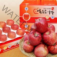 대흥농원 밀양얼음골사과 GAP인증 산지직송, 1박스, 10kg 40과