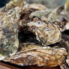 통영 새우 조개 왕우럭조개 털게석화굴구이, 1box, 석화5kg