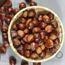 국내산 부여 군밤 용 칼집 밤 포르단 1kg 2kg, 포르단 칼집밤 1kg