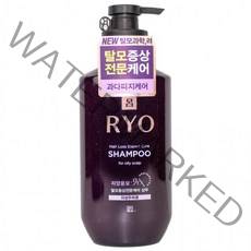 SHE&S 려 자양윤모 탈모증상케어 샴푸 400ml-지성두피용