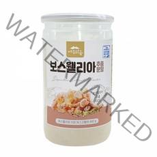 보스웰리아 100% 인도 보스웰리아가루 추출 분말 보스웰릭산 무릎 관절 연골 효능 대용량, 1병, 400g