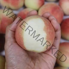 국내산 백도복숭아 납작복숭아 대극천 복숭아 2kg 딱딱이복숭아, 푸띠 대극천 납작복숭아 2kg 10-19과