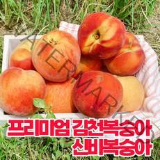 삼시세끼연구소 달콤 경북 복숭아 신비복숭아 백도 황도 천도 소과 중대과 특대과 1kg 2kg 3kg 딱딱 말랑이 제철 과일 산지 직송, 말랑이황도2kg(소과)