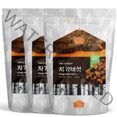 닥터비옴 러시아 차가버섯 원물 200g x 3개, 1세트 (3개입)