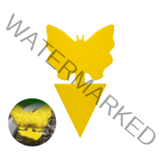 필요회복 가든 인섹트 트랩 12개 화분벌레 초파리 날파리 끈끈이 가드닝 트랩, 1개-12개입