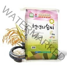 2022 천년의솜씨 신동진 쌀 20kg 상등급, 단품