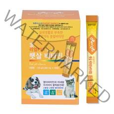 리얼펫 강아지 고양이 햇살비타민 영양제 60포, 1개, 면역건강