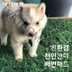 펫네이처 친환경 천연잔디 재사용 애견 배변패드, 리필