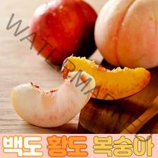 [청도복숭아] 딱딱이 복숭아 고당도 털 복숭아 백도/황도 복숭아, 백도말랑이복숭아3kg내외(13~14과)