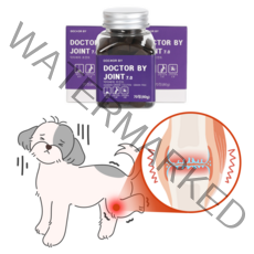 닥터바이 조인트 강아지 특허소재 관절영양제, 1세트, 슬개골탈구 특허소재