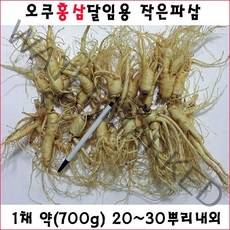 금산인삼 세척인삼 오쿠홍삼용파삼 난발삼 원수삼, 1개, (세척수삼)작은파삼1채20~30뿌리