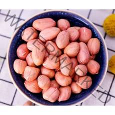 2021년 중국산 큰알 땅콩 수입상품, 2.5kg