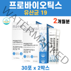 장건강 프로바이오틱스 유산균 배변 원활 유해균 억제 낙산균 신프로바이오틱스 자일로 프락토 갈락토 올리고당 프롤린 19, 2박스