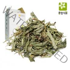 총명식품 곰보배추즙 기타건강즙, 60팩, 100ml