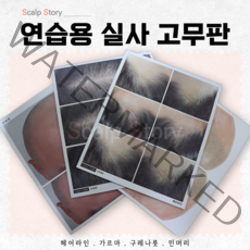 국내제작 SMP 실사 고무판 헤어라인 민머리 가르마 정수리 구레나룻