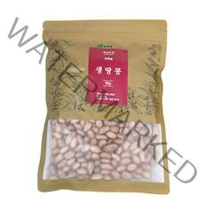 초록들 생땅콩, 1kg, 1개