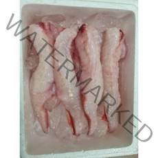 (전우수산) 국내산 생아귀 순살아귀 아귀간 아귀대창 아귀 아구 아구찜 아귀찜, 1개, 순살아귀(500g)냉동