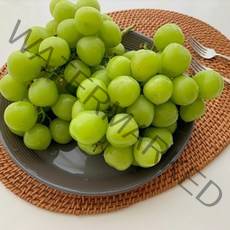 프리미엄 샤인머스켓 고당도 샤인머스캣 에어캡포장, 샤인머스켓 900g내외 작은송이(2수)