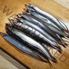 제철 동해 양미리 알도루묵 1kg 속초양미리 도루묵 구이, 제철 동해 양미리 1kg (20-30마리)