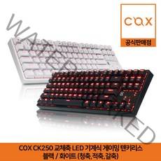 COX CK250 교체축 LED 기계식 게이밍 텐키리스 키보드 블랙/화이트 (청축 적축 갈축) 공식판매점, 블랙, 청축