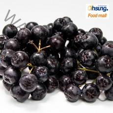 [오성식품] 냉동 블랙초크베리(아로니아) 1kg, 1개