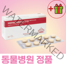 강아지 심장병약 고양이 노견 노령견 심장병 심장비대증 심부전 영양제 항산화 보조제 말티즈 푸들 포메라니안