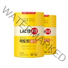 종근당건강 락토핏 골드, 160g, 2개