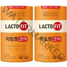 종근당건강 락토핏 코어 생유산균 60p, 120g, 2개