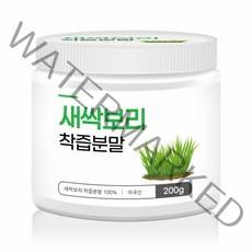 새싹보리 분말 가루 착즙 보리 어린잎 새싹 보리순 100프로