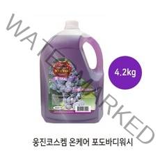온케어 4.2L 포도바디워시 대용량, 1개