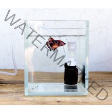 미니 스펀지 여과기 MB-201 / 어항 수조 수족관 미니 스펀지 여과기