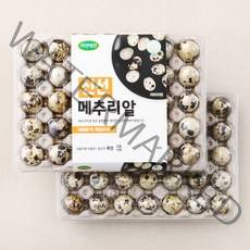 자연애찬 신선 메추리알 70구, 630g, 1개