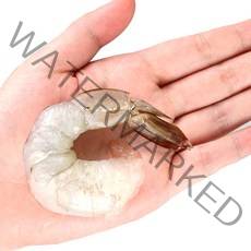 내고향 농수산 냉동 칵테일 새우 흰다리 새우살 감바스 깐새우 탈각새우, 칵테일 새우(60~80미) 600g 사이즈랜덤