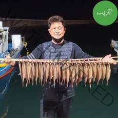 최고다농수산 강원도 속초 양미리 도루묵 기름가자미 물가자미 생물 반건조 구이 조림 튀김요리, 제철! 햇 반건조 양미리 1두름 (20마리)