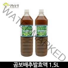 양원농장 곰보배추발효액1.5L 곰보배추즙 효소, 1개, 1.5L