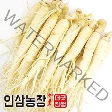 더굿진생 금산 인삼 수삼 세척 원수삼 실속형, 1개, 세척인삼450g(9~11뿌리)